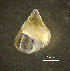  ( - BGE_00649_B02)  @11 [ ] CreativeCommons Attribution Non-Commercial (2024) Stefania Klayn Bulgarian Academy of Sciences, Institute of Biodiversity and Ecosystem Research