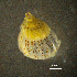  ( - BGE_00649_B08)  @11 [ ] CreativeCommons Attribution Non-Commercial (2024) Stefania Klayn Bulgarian Academy of Sciences, Institute of Biodiversity and Ecosystem Research