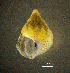  ( - BGE_00649_B08)  @11 [ ] CreativeCommons Attribution Non-Commercial (2024) Stefania Klayn Bulgarian Academy of Sciences, Institute of Biodiversity and Ecosystem Research