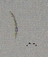  ( - BGE_00627_G02)  @11 [ ] CreativeCommons - Attribution Share - Alike (2025) Unspecified Unspecified
