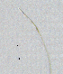  ( - BGE_00627_H10)  @11 [ ] CreativeCommons - Attribution Share - Alike (2045) Unspecified Unspecified