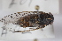  ( - BGE_00631_A02)  @11 [ ] CreativeCommons - Attribution Share - Alike (2025) Unspecified Unspecified