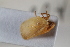  ( - BGE_00631_A07)  @11 [ ] CreativeCommons - Attribution Share - Alike (2025) Unspecified Unspecified