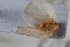  ( - BGE_00631_A08)  @11 [ ] CreativeCommons - Attribution Share - Alike (2025) Unspecified Unspecified