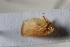  ( - BGE_00631_A09)  @11 [ ] CreativeCommons - Attribution Share - Alike (2025) Unspecified Unspecified