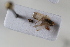  ( - BGE_00631_A12)  @11 [ ] CreativeCommons - Attribution Share - Alike (2025) Unspecified Unspecified