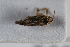  (Myndus - BGE_00631_C01)  @11 [ ] CreativeCommons - Attribution Share - Alike (2025) Unspecified Unspecified
