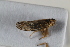  ( - BGE_00631_C02)  @11 [ ] CreativeCommons - Attribution Share - Alike (2025) Unspecified Unspecified