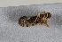  ( - BGE_00631_C03)  @11 [ ] CreativeCommons - Attribution Share - Alike (2025) Unspecified Unspecified