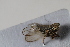  ( - BGE_00631_D02)  @11 [ ] CreativeCommons - Attribution Share - Alike (2025) Unspecified Unspecified