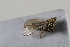  ( - BGE_00631_D03)  @11 [ ] CreativeCommons - Attribution Share - Alike (2025) Unspecified Unspecified