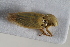  ( - BGE_00631_D08)  @11 [ ] CreativeCommons - Attribution Share - Alike (2025) Unspecified Unspecified