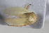  ( - BGE_00631_D09)  @11 [ ] CreativeCommons - Attribution Share - Alike (2025) Unspecified Unspecified