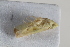  ( - BGE_00631_E02)  @11 [ ] CreativeCommons - Attribution Share - Alike (2025) Unspecified Unspecified