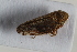  ( - BGE_00631_E08)  @11 [ ] CreativeCommons - Attribution Share - Alike (2025) Unspecified Unspecified