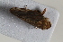  ( - BGE_00631_E09)  @11 [ ] CreativeCommons - Attribution Share - Alike (2025) Unspecified Unspecified