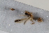  ( - BGE_00631_F07)  @11 [ ] CreativeCommons - Attribution Share - Alike (2025) Unspecified Unspecified