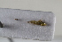  ( - BGE_00631_F11)  @11 [ ] CreativeCommons - Attribution Share - Alike (2025) Unspecified Unspecified