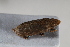  ( - BGE_00631_H03)  @11 [ ] CreativeCommons - Attribution Share - Alike (2025) Unspecified Unspecified