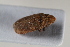  ( - BGE_00631_H04)  @11 [ ] CreativeCommons - Attribution Share - Alike (2025) Unspecified Unspecified