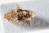  ( - BGE_00631_H05)  @11 [ ] CreativeCommons - Attribution Share - Alike (2025) Unspecified Unspecified