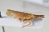  ( - BGE_00631_H09)  @11 [ ] CreativeCommons - Attribution Share - Alike (2030) Unspecified Unspecified