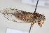  ( - BGE_00631_H10)  @11 [ ] CreativeCommons - Attribution Share - Alike (2031) Unspecified Unspecified