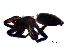  ( - BGE_00635_D11)  @11 [ ] CreativeCommons - Attribution Share - Alike (2025) Unspecified Unspecified