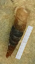  ( - BGE_00641_B04)  @11 [ ] CreativeCommons - Attribution Share - Alike (2025) Unspecified Unspecified