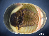  ( - BGE_00642_C03)  @11 [ ] CreativeCommons - Attribution Share - Alike (2025) Unspecified Unspecified