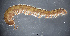  ( - BGE_00642_G08)  @11 [ ] CreativeCommons - Attribution Share - Alike (2151) Unspecified Unspecified