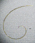  ( - BGE_00645_D01)  @11 [ ] CreativeCommons - Attribution Share - Alike (2025) Unspecified Unspecified