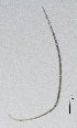  ( - BGE_00645_D02)  @11 [ ] CreativeCommons - Attribution Share - Alike (2025) Unspecified Unspecified