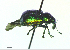  ( - BGE_00646_B09)  @11 [ ] CreativeCommons - Attribution Share - Alike (2025) Unspecified Unspecified