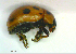 ( - BGE_00646_C02)  @11 [ ] CreativeCommons - Attribution Share - Alike (2025) Unspecified Unspecified
