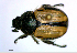  ( - BGE_00646_C04)  @11 [ ] CreativeCommons - Attribution Share - Alike (2025) Unspecified Unspecified