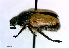  ( - BGE_00646_C04)  @11 [ ] CreativeCommons - Attribution Share - Alike (2025) Unspecified Unspecified