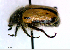  ( - BGE_00646_C05)  @11 [ ] CreativeCommons - Attribution Share - Alike (2025) Unspecified Unspecified