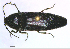  ( - BGE_00646_D02)  @11 [ ] CreativeCommons - Attribution Share - Alike (2025) Unspecified Unspecified