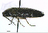  ( - BGE_00646_D03)  @11 [ ] CreativeCommons - Attribution Share - Alike (2025) Unspecified Unspecified
