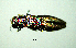  ( - BGE_00646_D08)  @11 [ ] CreativeCommons - Attribution Share - Alike (2025) Unspecified Unspecified