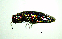  ( - BGE_00646_D08)  @11 [ ] CreativeCommons - Attribution Share - Alike (2025) Unspecified Unspecified