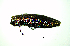  ( - BGE_00646_D09)  @11 [ ] CreativeCommons - Attribution Share - Alike (2025) Unspecified Unspecified