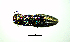  ( - BGE_00646_D10)  @11 [ ] CreativeCommons - Attribution Share - Alike (2025) Unspecified Unspecified
