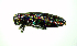  ( - BGE_00646_D10)  @11 [ ] CreativeCommons - Attribution Share - Alike (2025) Unspecified Unspecified