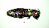  ( - BGE_00646_D11)  @11 [ ] CreativeCommons - Attribution Share - Alike (2025) Unspecified Unspecified
