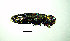  ( - BGE_00646_D11)  @11 [ ] CreativeCommons - Attribution Share - Alike (2025) Unspecified Unspecified