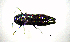  ( - BGE_00646_E01)  @11 [ ] CreativeCommons - Attribution Share - Alike (2025) Unspecified Unspecified