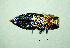  ( - BGE_00646_E07)  @11 [ ] CreativeCommons - Attribution Share - Alike (2025) Unspecified Unspecified