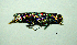  ( - BGE_00646_E07)  @11 [ ] CreativeCommons - Attribution Share - Alike (2025) Unspecified Unspecified